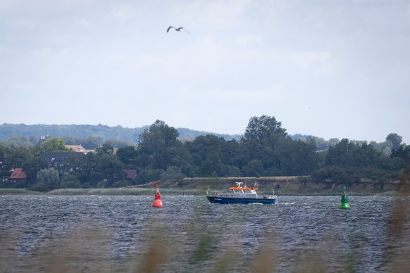 27.07.2026, Mecklenburg-Vorpommern, Wismar: Das Polizeiboot "Uecker" f�hrt in der Wismarer Bucht. Im Hafen von Wismar an der deutschen Ostseek�ste ist erneut ein Wal aufgetaucht. Foto: Phili ...