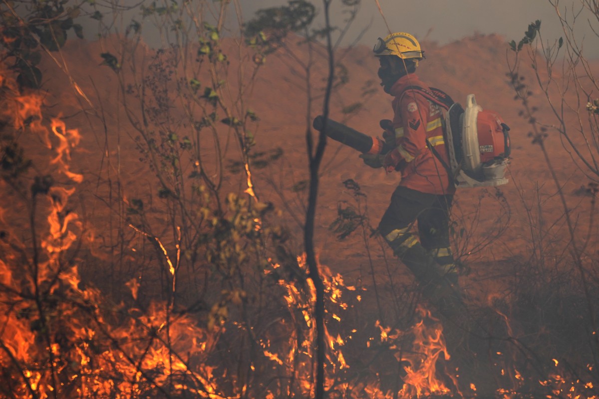 A firefighter attempts to put out a forest fire spreading in the environmentally protected area of Brasilia National Park during the dry season in Brasilia, Brazil, Monday, Sept. 16, 2024. Mauro Pires ...