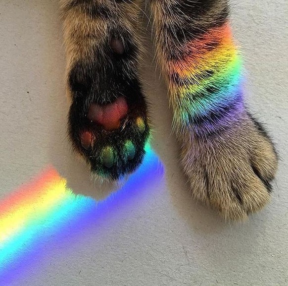 Du bist nur noch eine Cute News vom Weekend entfernt
Einen schÃ¶nen Frauenstreiktag! 



UND



CUTE PRIDE ðð