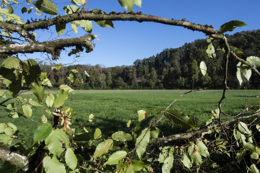 Blick auf das Feld der geplanten Tiefbohrungen der Nagra, aufgenommen am Mittwoch, 26. September 2018 in Buelach. Ab Anfang 2019 starten die Tiefbohrungen in den Standortgebieten Jura Ost, Noerdlich L ...