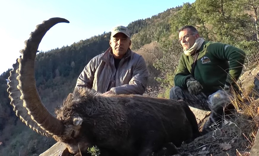 Steinbock-Safari im Kanton Wallis, Aufnahmen aus dem Jahr 2015