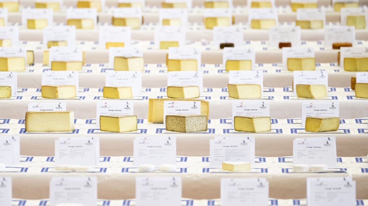 KEYPIX - Cheeses from different parts of Switzerland are pictured during the 14th Swiss Cheese Awards, at the St. Leonard community hall, in Fribourg, Switzerland, Tuesday, October 6, 2026. The 14th S ...