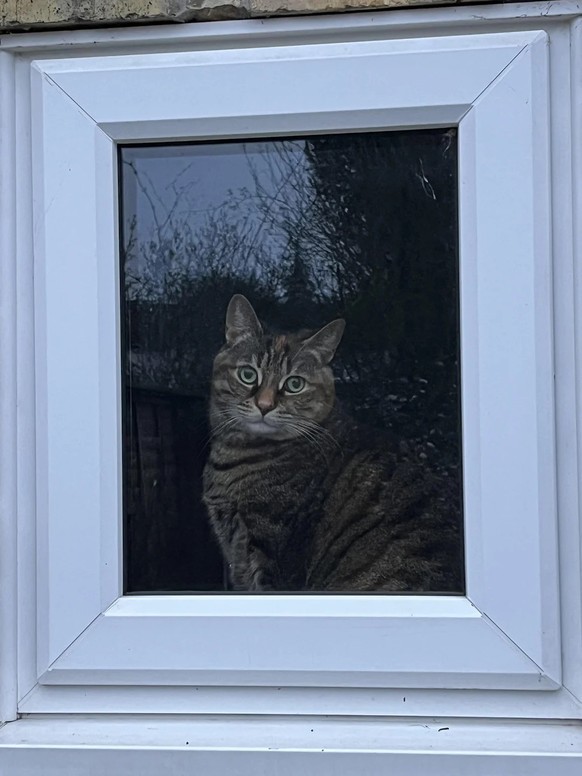 AccidentalRenaissance
Cat in a Window

https://www.reddit.com/media?url=https%3A%2F%2Fpreview.redd.it%2Fcat-in-a-window-v0-k3kv9m9s70og1.jpeg%3Fwidth%3D1080%26crop%3Dsmart%26auto%3Dwebp%26s%3D3d34822a ...