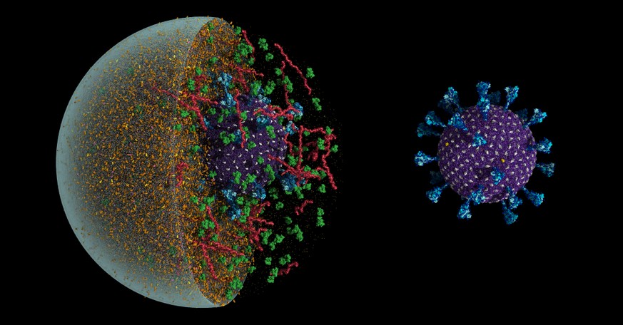 Simulating an aerosol with a coronavirus inside required 1.3 billion virtual atoms.