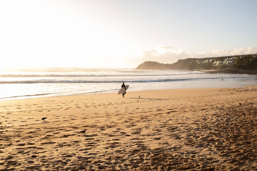 Surfer walking at sunrise on golden Manly Beach, Australia Manly, New South Wales, Australia CR_MGTP250515E0-1727257-01 ,model released, Symbolfoto