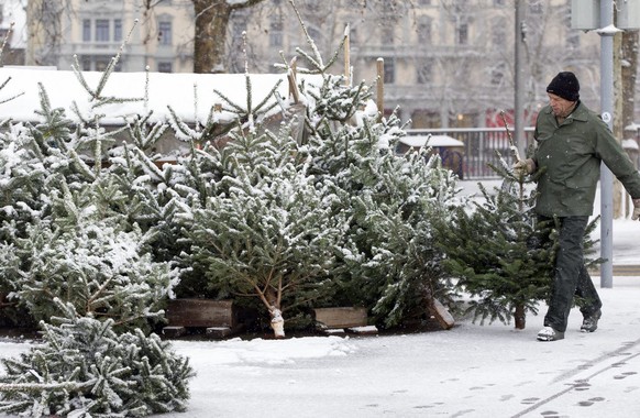 Ein Christbaum Verkaeufer befreit seine Taennlein vom Schnee am Montag, 19. Dezember 2011 am Buerkliplatz in Zuerich. (KEYSTONE/Alessandro Della Bella)