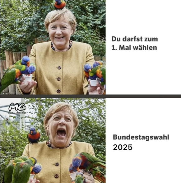 Bundestagswahl Deutschland Memes
