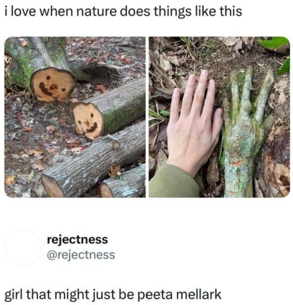 film memes

https://www.instagram.com/p/DDpiBX5SdB_/