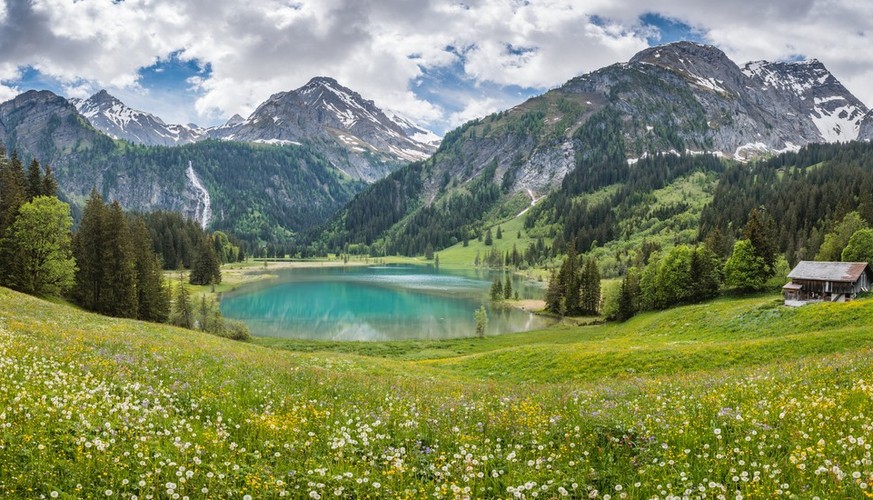 Biodiversität