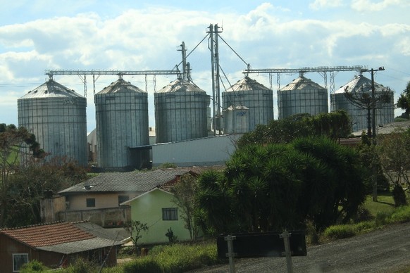 Im Süden Brasiliens ist alles etwas grösser als auf Schweizer Bauernhöfen.