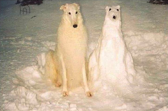 Hund und Schneehund
Cute News
https://imgur.com/gallery/gGXSv