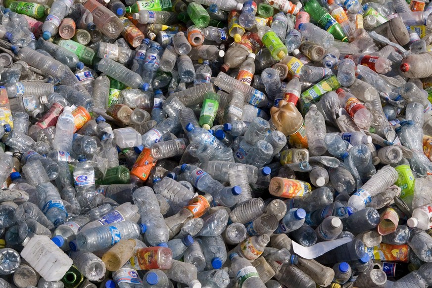 epa05205795 (FILE) A file picture dated 14 April 2007 shows used plastic bottles at a recycling facility in Jixi, China&#039;s north-eastern Heilongjiang province. Japanese researchers have discovered ...