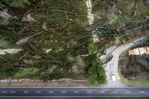 ARCHIV -- ZUM NEUSTEN STAND DER AUFRAEUMARBEITEN DER SCHAEDEN DURCH DEN STURM BURGLIND, STELLEN WIR IHNEN AM MITTWOCH, 27. JUNI 2018, FOLGENDES BILDMATERIAL ZUR VERFUEGUNG -- Ein Waldstueck bei Kesten ...