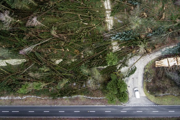 ARCHIV -- ZUM NEUSTEN STAND DER AUFRAEUMARBEITEN DER SCHAEDEN DURCH DEN STURM BURGLIND, STELLEN WIR IHNEN AM MITTWOCH, 27. JUNI 2018, FOLGENDES BILDMATERIAL ZUR VERFUEGUNG -- Ein Waldstueck bei Kesten ...