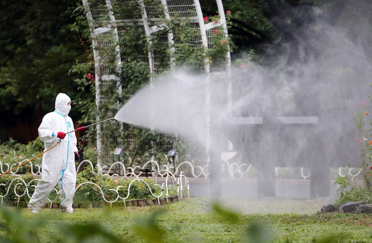 Die Behörden gehen im Yoyogi-Park mit Insektizid gegen die Tigermücken vor.