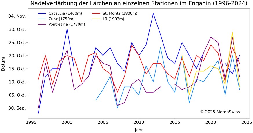 Nadelverfärbung der Lärchen im Engadin 1996-2024 Laubtracker Lärchen Herbst Schweiz