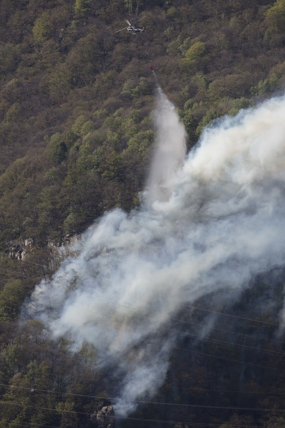 Vor wenigen Minuten ist wieder ein Waldbrand im Tessin ausgebrochen. Betroffen ist Riazzino. Es ist bereits der min. 4. Waldbrand diese Woche. Grillieren ist seid diesem Wochenende im ganzen Tessin ve ...