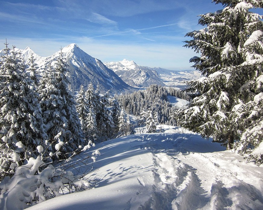 Rauszeit neue Schneeschuhtrails SchweizMobil-Route 187 Aeschiried