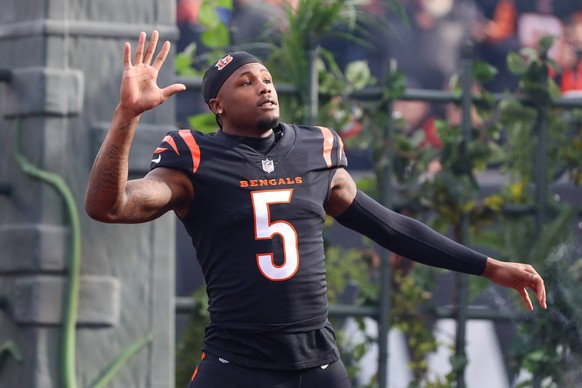 CINCINNATI, OH - DECEMBER 16: Cincinnati Bengals wide receiver Tee Higgins 5 is introduced before the game against the Minnesota Vikings and the Cincinnati Bengals on December 16, 2023, at Paycor Stad ...