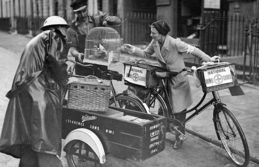 NARPAC-Mitglieder besuchen zerbombte Häuser in London, um Haustiere einzusammeln, die Pflege oder ein neues vorübergehendes Zuhause brauchen, September 1940.