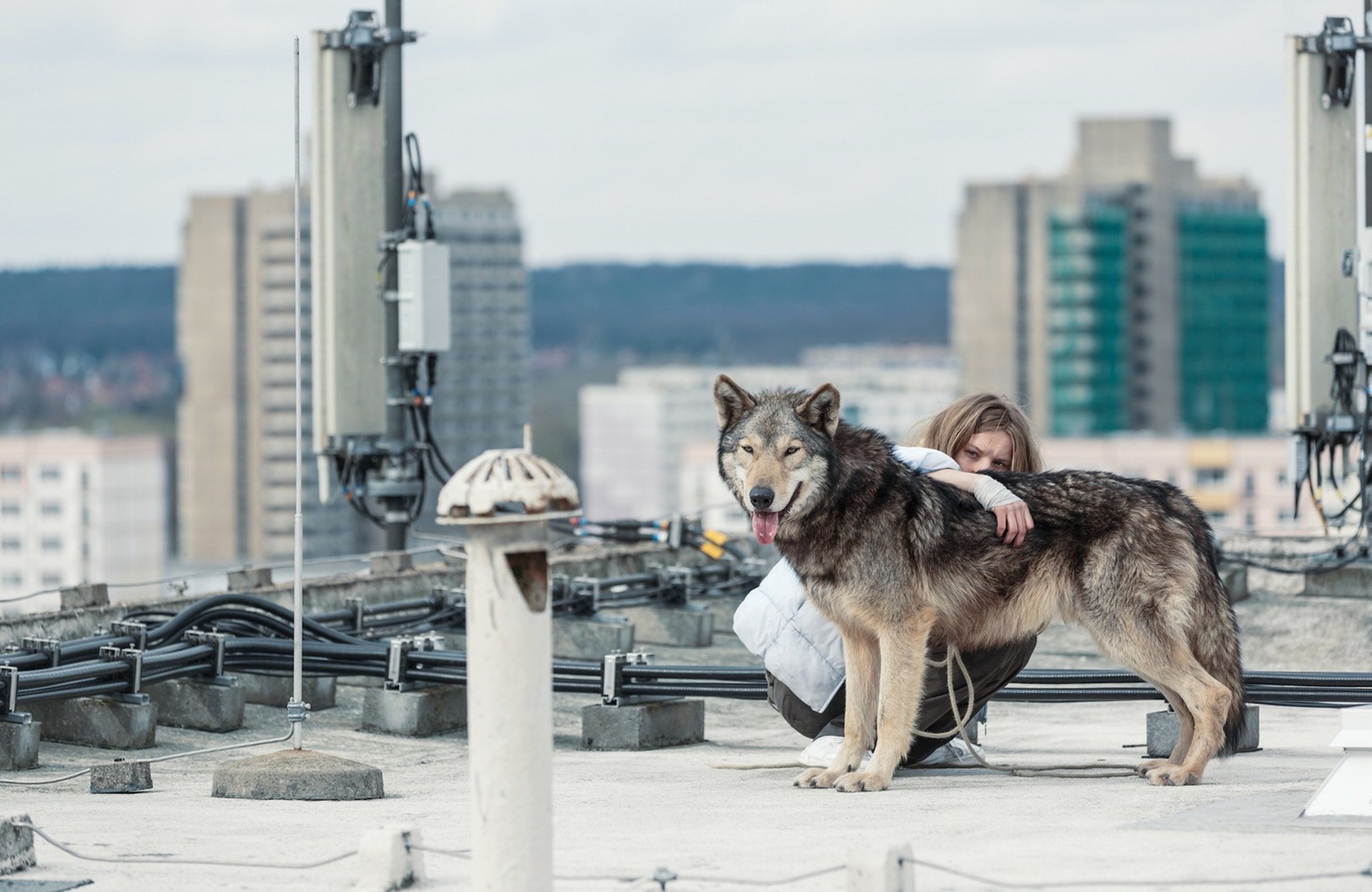 Auf dem Dach ihres Plattenbaus übt Ania mit dem Wolf die Freiheit.