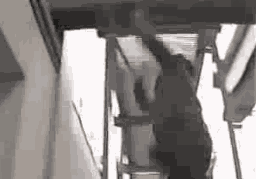 Animiertes GIF