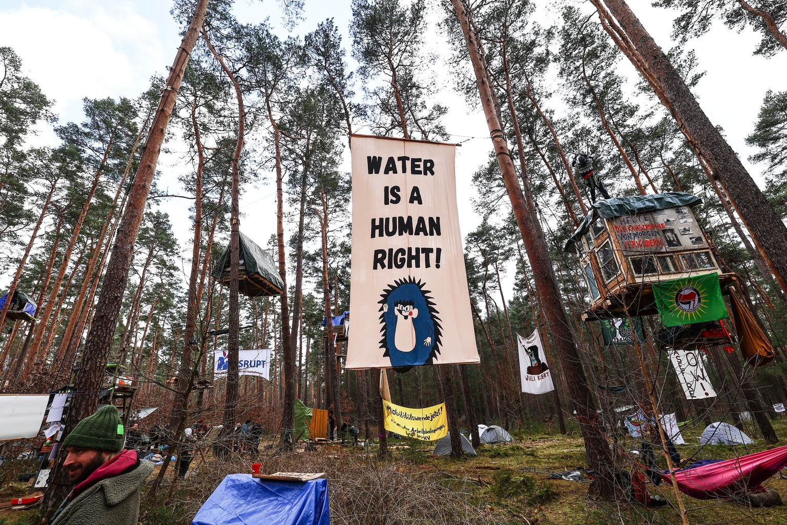epa11200389 Environmental activists display banners and occupy trees during a protest against plans to cut down the forest to extend the Tesla Gigafactory, in Gruenheide, near Berlin, Germany, 05 Marc ...