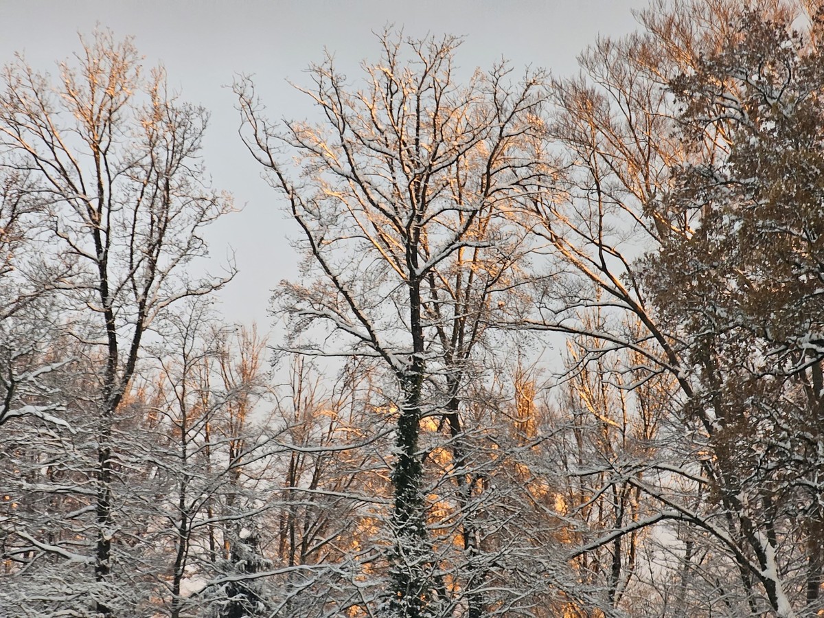 Arbeitsweg Schnee