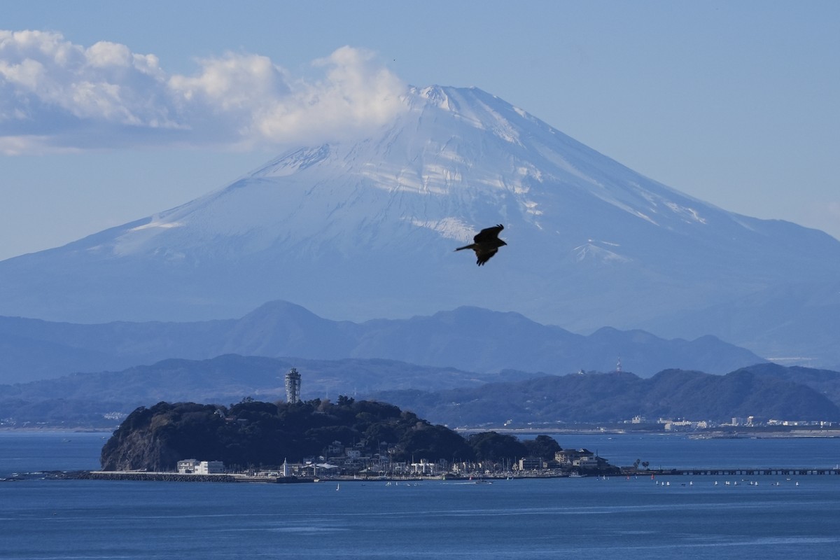 A hawk flies as Mount Fuji is seen in the background in Zushi, Japan, Friday, Jan. 10, 2025. (AP Photo/Kiichiro Sato)