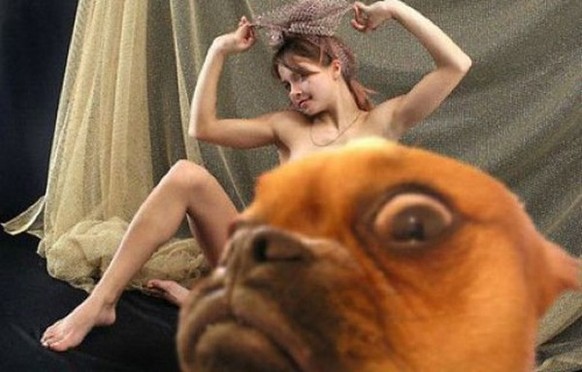 Hund Photobomb