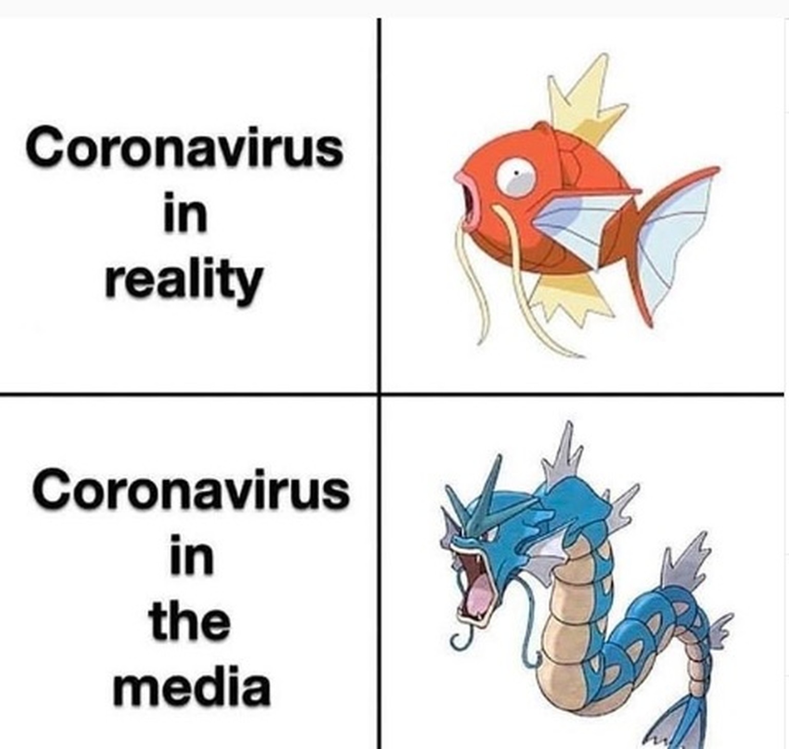 4095337008382273