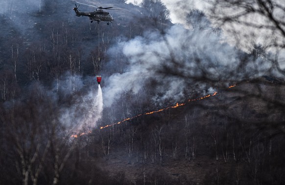 Ein Waldbrand wird von aufkommenden Winden in den Huegeln von Gambarogno bei Indemini am Lago Maggiore am Montag, 31. Januar 2022 befeuert. Das hat inzwischen auf einer Flaeche von sechs Hektaren erfa ...