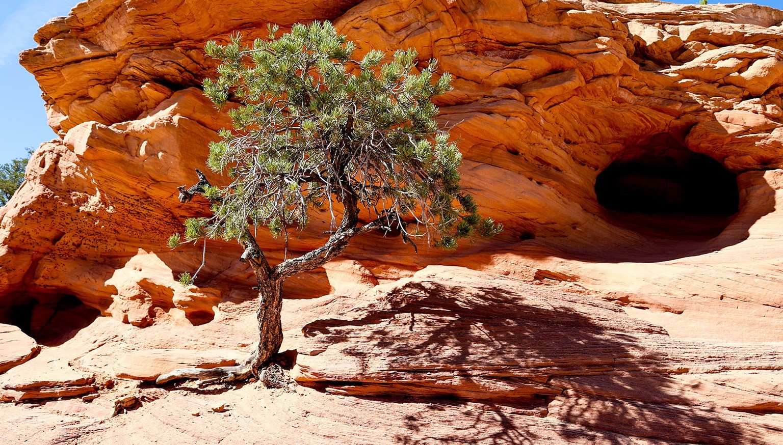 Shawn Vales USA: Bilder nur in Absprache mit Toggi verwenden.