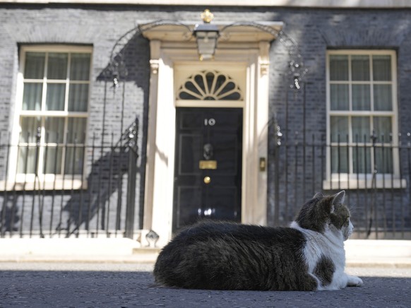 Larry the Cat, Britain&#039;s Chief Mouser to the Cabinet Office rests in front of 10 Downing Street in London, Friday, July 8, 2022. Britain&#039;s Prime Minister Boris Johnson announced that less th ...