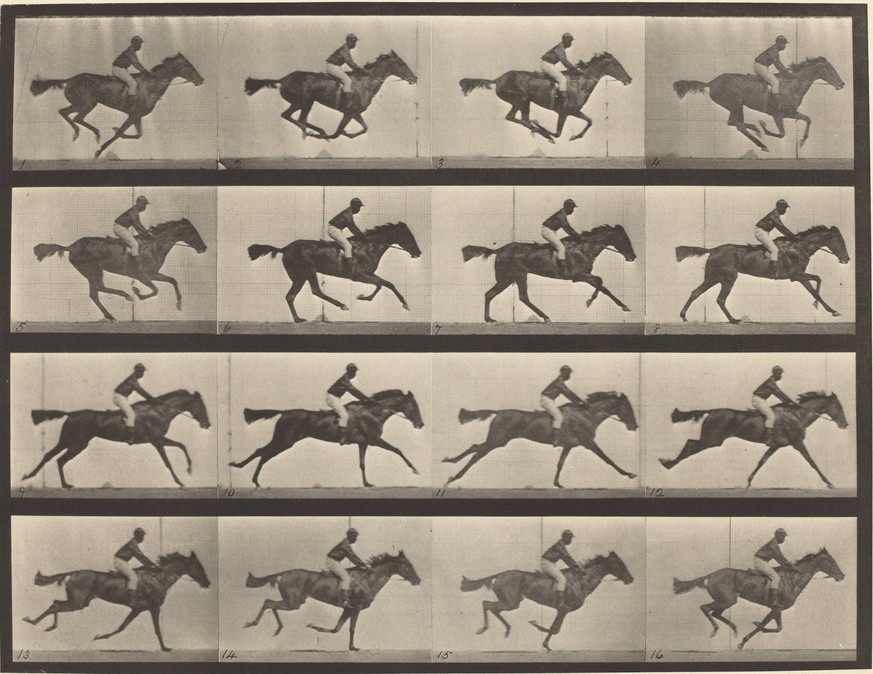 Das Pferd heisst Annie G., der Jockey ist schwarz und hat keinen Namen. Ausschnitt aus der Bewegungsstudie «Animal Locomotion» (1887) von Eadweard Muybridge.