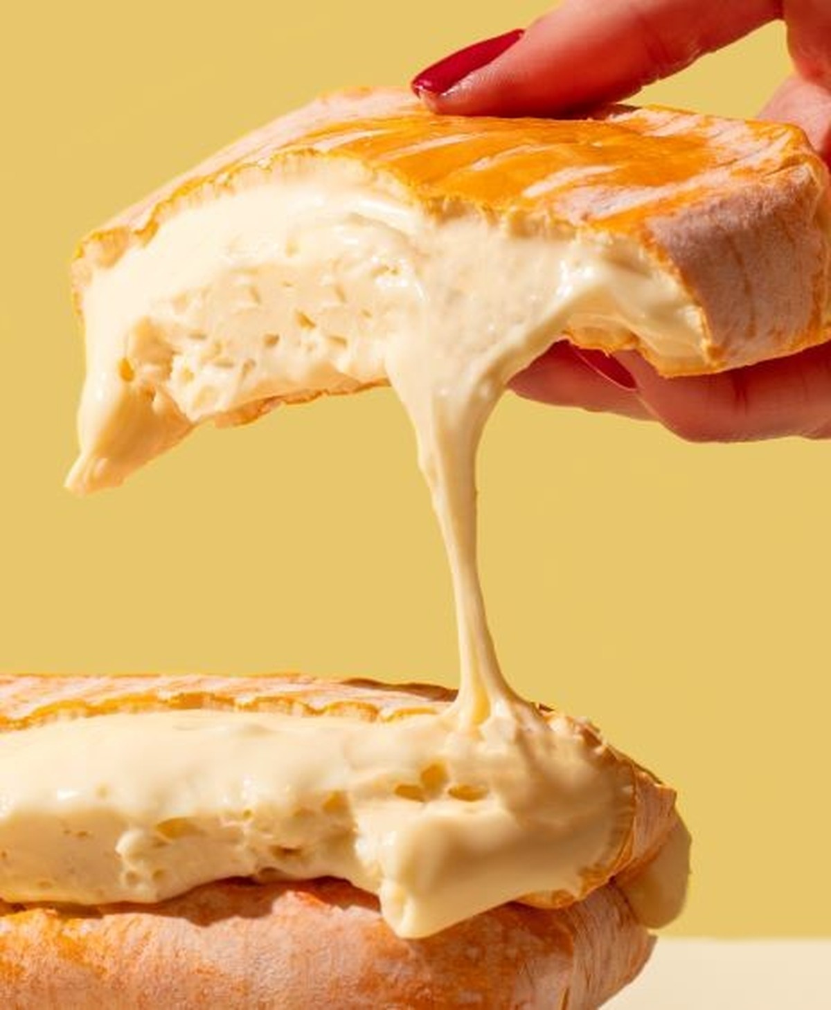highland fine cheeses the minger stinkender käse essen food schottland https://www.hf-cheeses.com/