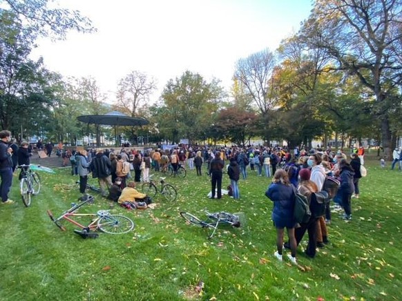 Klimademo in Basel im De-Wette-Park.