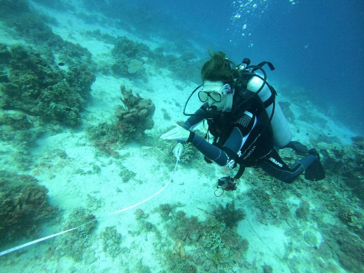 Taucher bei einem Korallenriff in der Pujada Bay, Philippinen.