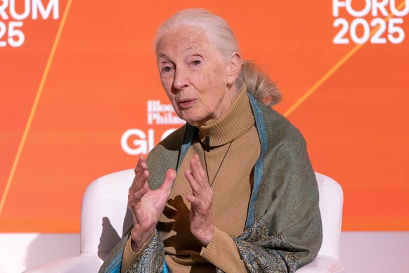 Jane Goodall, a primatologist and ethologist, died at age 91 Jane Goodall, a primatologist and ethologist, died at age 91, pictured in a file photo on September 24, 2025 at the Bloomberg Philanthropie ...