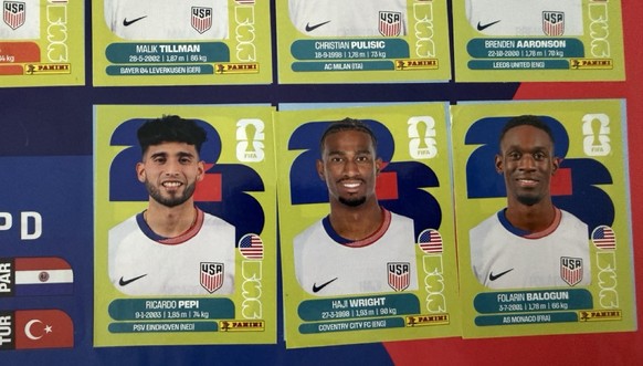 Panini WM 2026