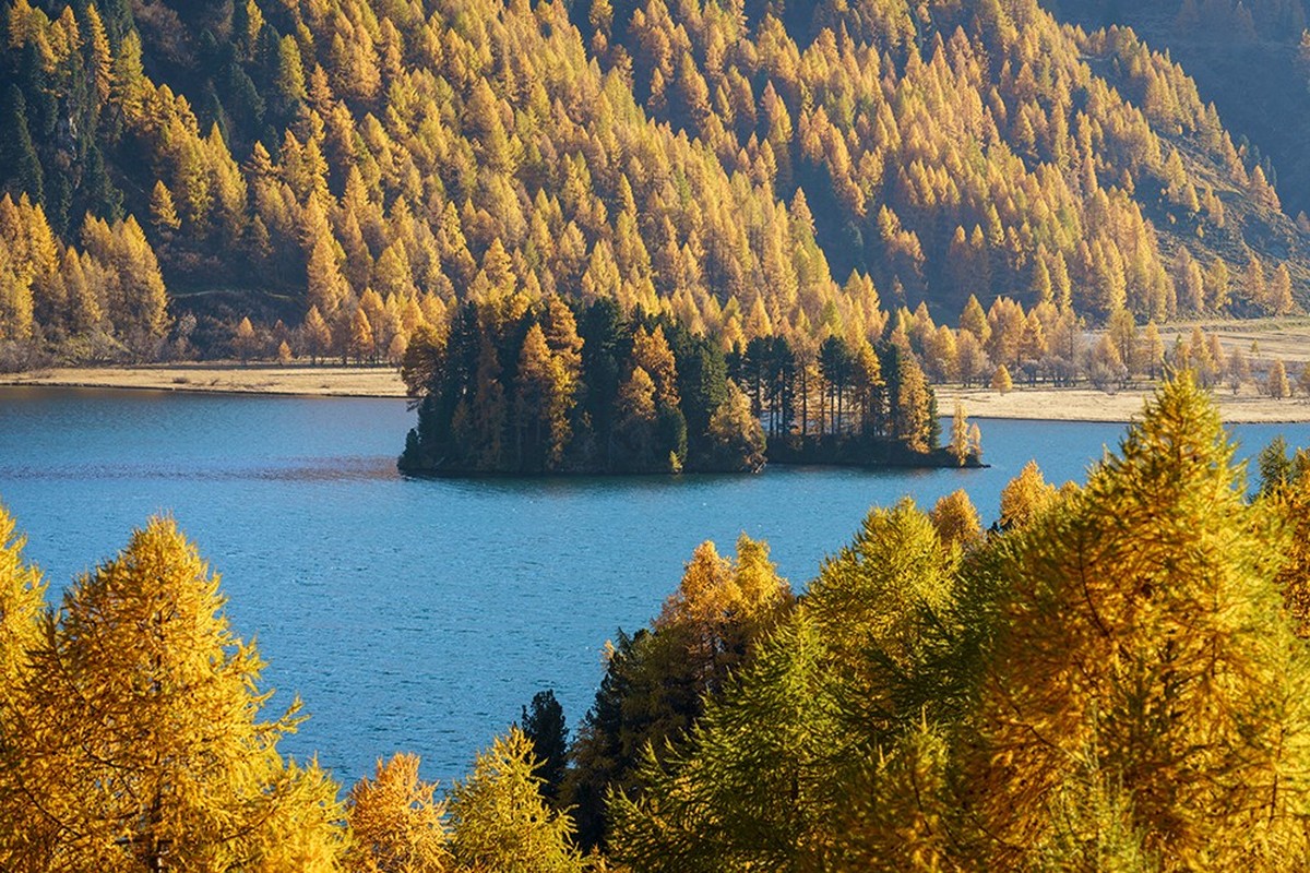 Der Herbst verwandelt die Landschaft um die Engadiner Seeplatte in ein zauberhaftes Farbenspiel. Chaviolas Rauszeit Inseln Schweiz