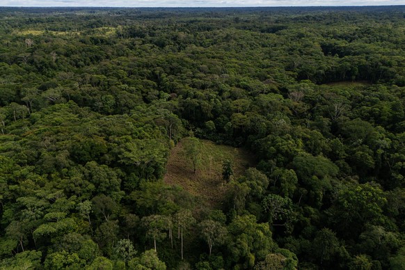 FILE - A coca crop is visible on the outskirts of Puerto Asis, Colombia, Nov. 26, 2025. (AP Photo/Ivan Valencia, File)
Colombia Coca Eradication