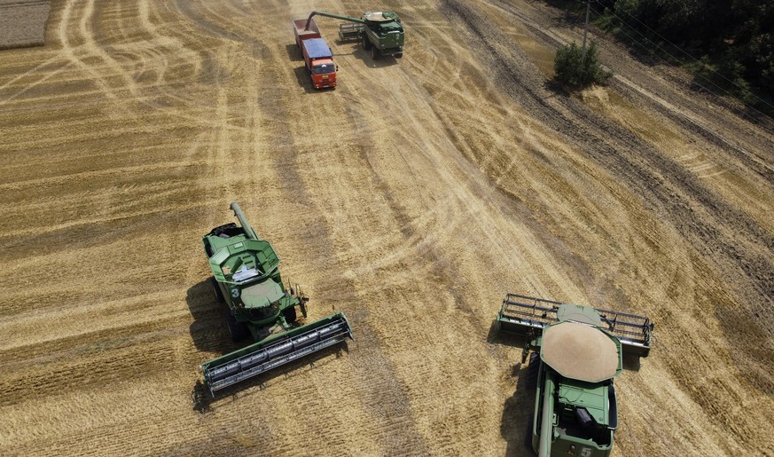 FILE - Farmers harvest with their combines in a wheat field near the village Tbilisskaya, Russia, July 21, 2021. The Organization for Economic Cooperation and Development is warning that Russia&#039;s ...