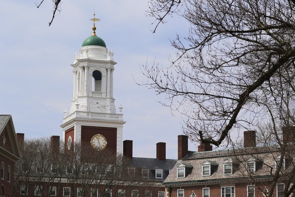 Spring buds appear on a tree near Eliot House, rear, at Harvard University, Tuesday, April 15, 2025, in Cambridge, Mass. (AP Photo/Charles Krupa)
Trump Harvard