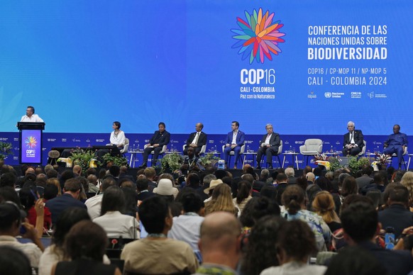 epa11690648 Colombian President Gustavo Petro (L) speaks during the high-level segment of the 2024 United Nations Biodiversity Conference (COP16), in Cali, Colombia, 29 October 2024. The 16th meeting  ...