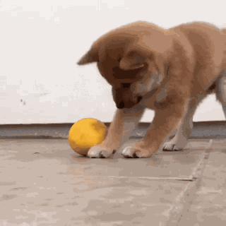 Animiertes GIF