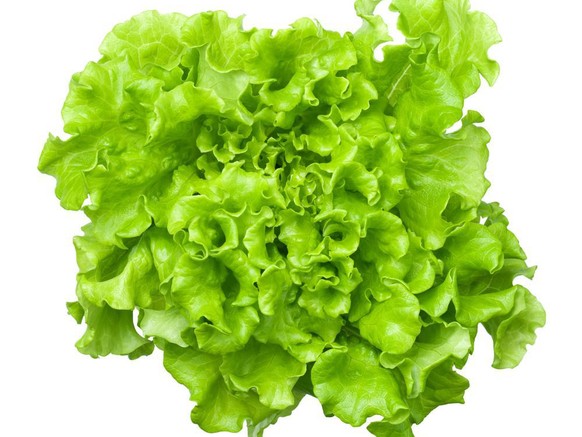 Batavia Salat