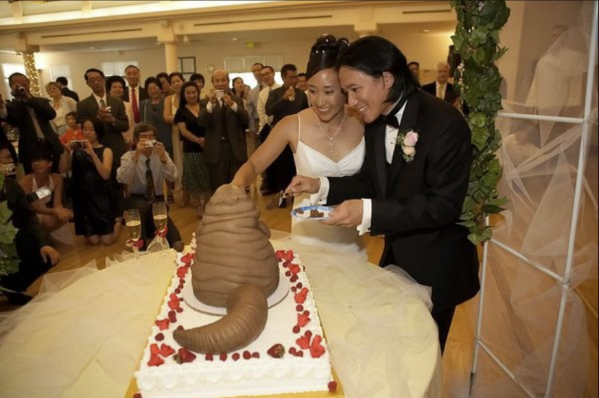 Lustige Hochzeitstorten Fails