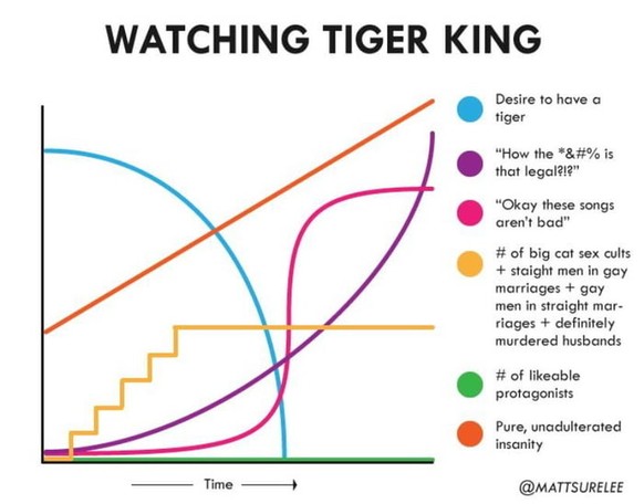 Spoiler-Alarm! «Tiger King» oder wie man stundenlang aus dem Staunen nicht mehr rauskommt
...und die Serie bietet die besten Vorlagen für Memes &lt;3
