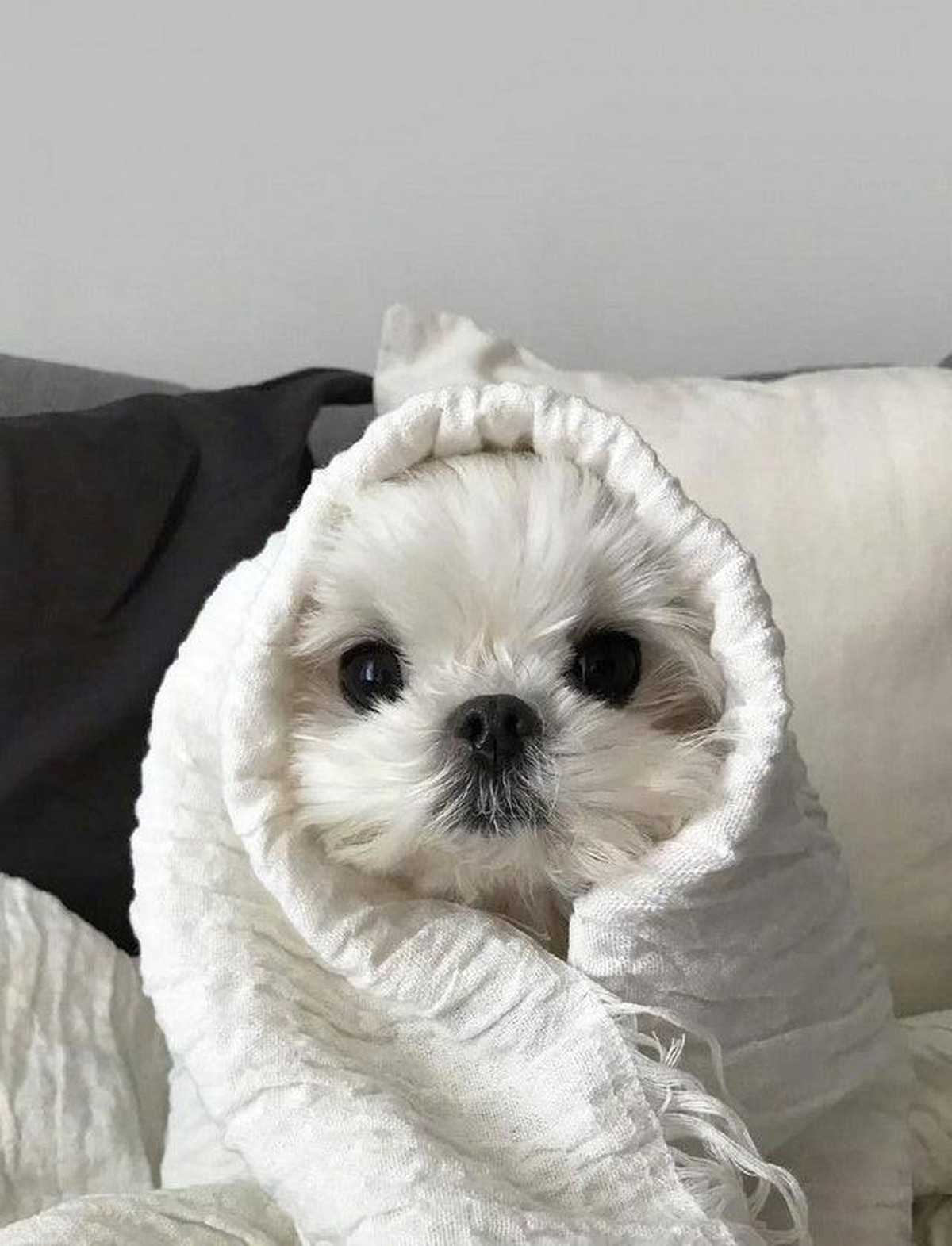 süsse tierbilder